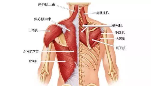 放松过于紧张的肌肉