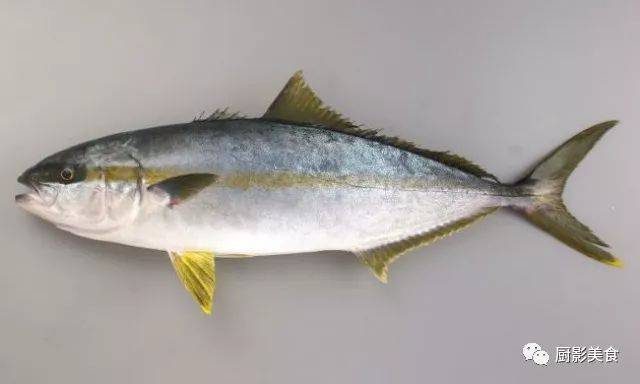 日料 六月顶级鱼类大赏 日本鱚鱼 爱号网