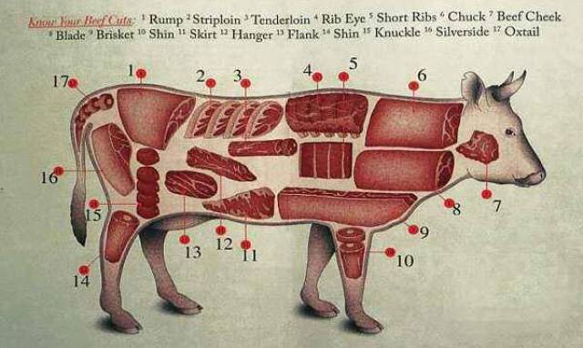 鸡,鸭肉则是胸部肉更适合,腿部肉有太多筋膜不易消化.