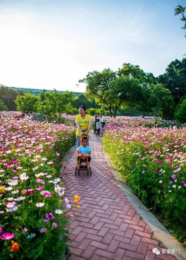 攝影外拍 | 廈門的公園那麼美…我想和你去看看!