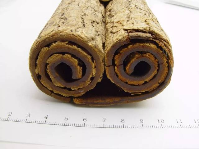 11诃子,是使君子科诃子的成熟果实,性收敛,能够治疗久泻久利,肺虚咳喘