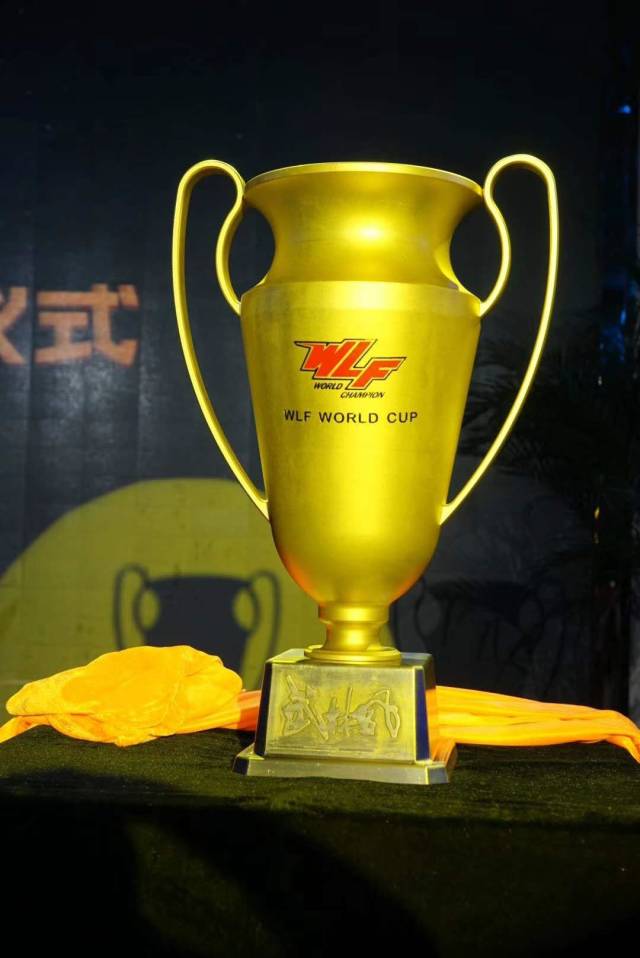 荷兰猛将哈桑·拓伊出战"搏击世界杯",不惧与"成吉思汗"达占巴同组