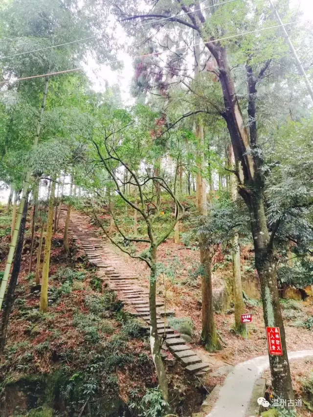 六朝霸业成逝水,千古名山犹姓陶-登福泉山