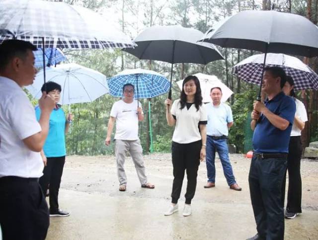 印江自治县委书记田艳调研调度产业扶贫项目建设_手机搜狐网