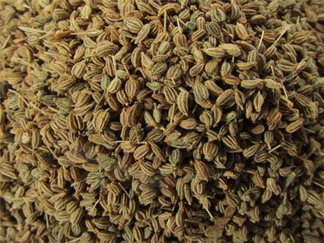 印度藏茴香(ajwain)