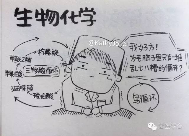 生物化学: 俗话说,生理生化必有一挂! 这是一门毕加索般抽象的科目