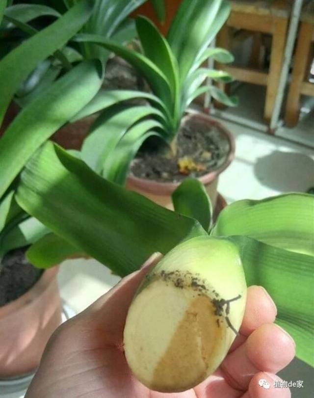 手机搜狐网