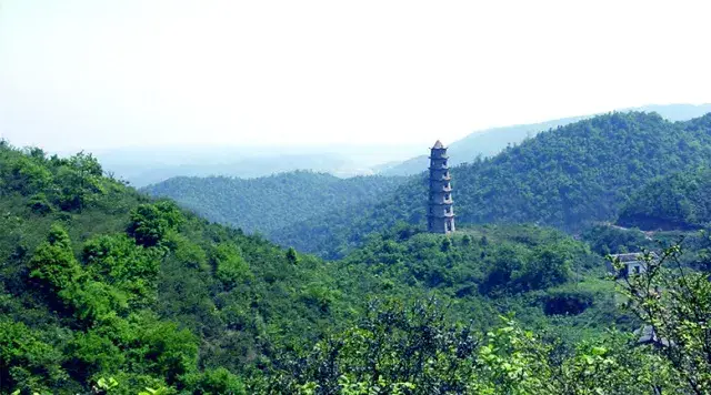 香山国家森林公园的森林季相变化万千,呈现了大自然的生态和谐美景.