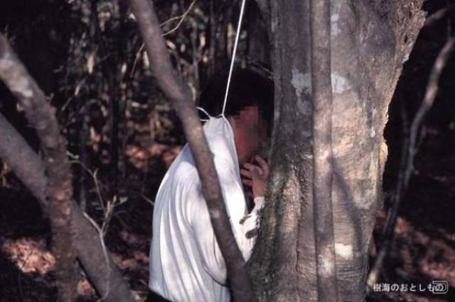 日本最恐怖的森林演员图片