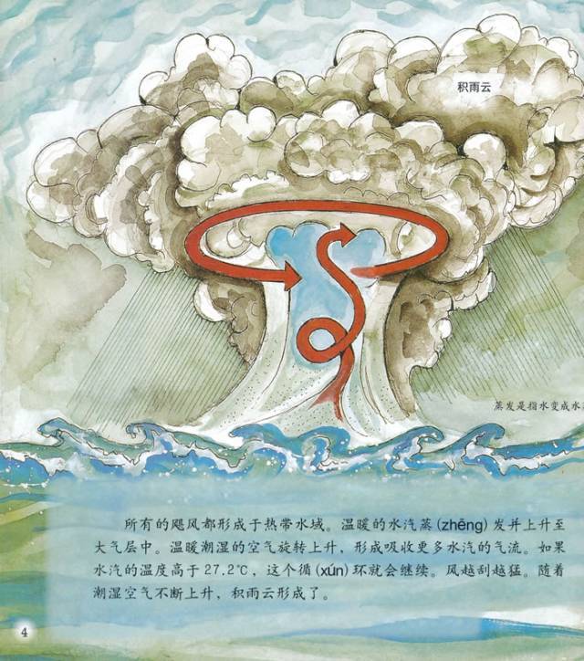 有声绘本|《飓风》