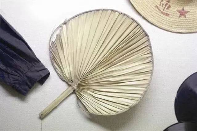 蒲扇,蒲扇团,翅膀_文秘苑图库