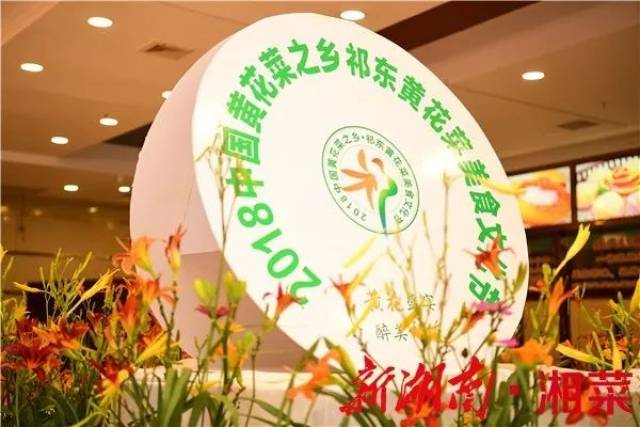 重阳节与菊花：秋风里的诗意盛宴