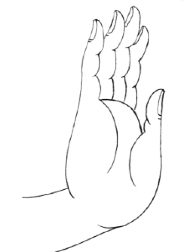 相传释迦牟尼在鹿野苑初转法轮时用的即是这个手印,因此说法印又称