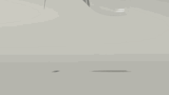 500_281gif 动态图 动图