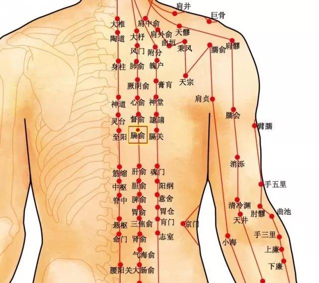 大肠俞