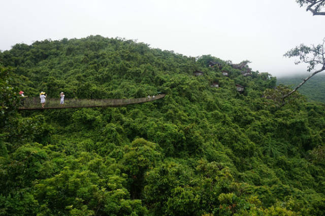 和妹妹一起去三亚旅行