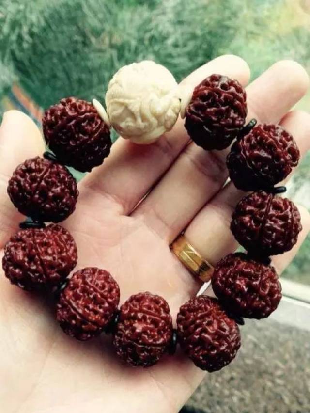 玩友进阶指南——大小金刚菩提的区别！_搜狐网