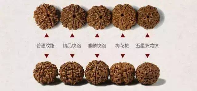 玩友进阶指南——大小金刚菩提的区别！_搜狐网