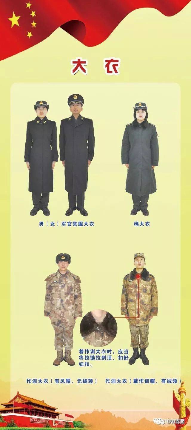 部队衣服分类图片