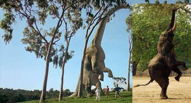 长颈鹿等大型动物 寻找灵感 在《侏罗纪公园》中打头阵出场的 腕龙