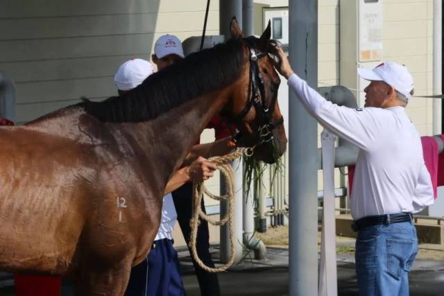 【宝冢纪念赛】约翰摩亚满意「明月千里」表现