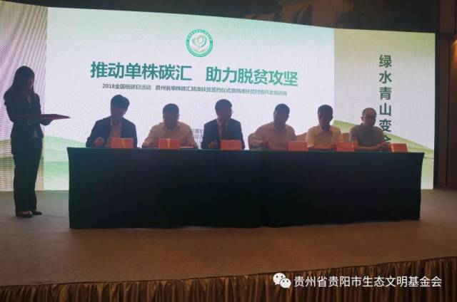 绿色交易：排污权交易市场动态解析