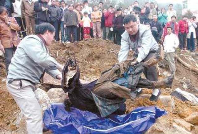 第三种为"跳尸,黑僵吸血几十年,黑毛脱去,行动开