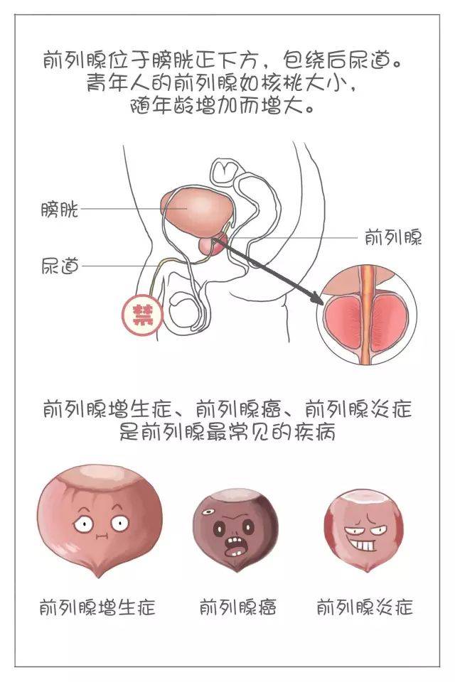 男人想要贏,那就一定要贏在在