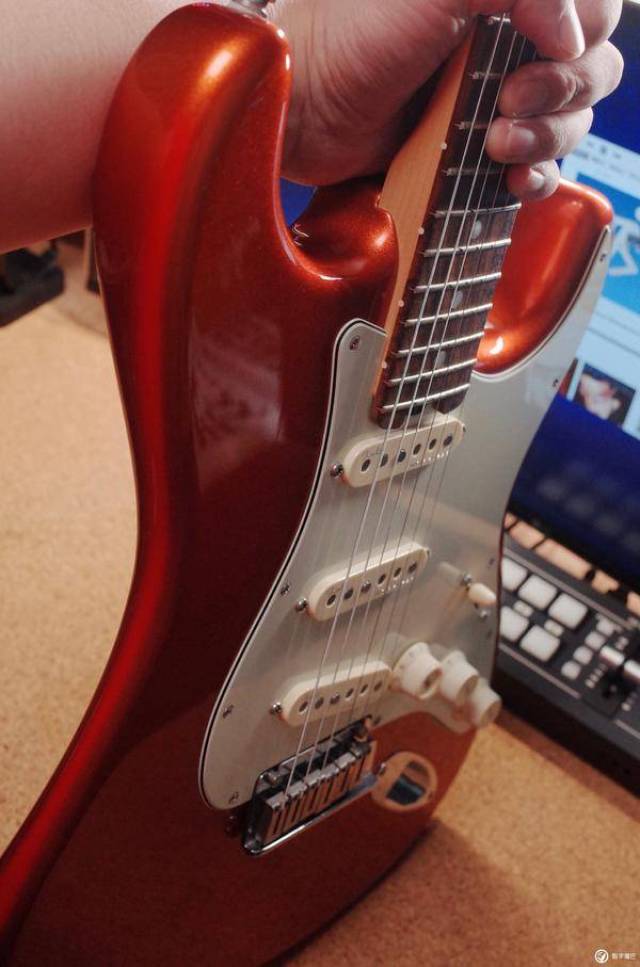 fender elite stratcaster电吉他,随着2016年国际珍稀物种保护公约的