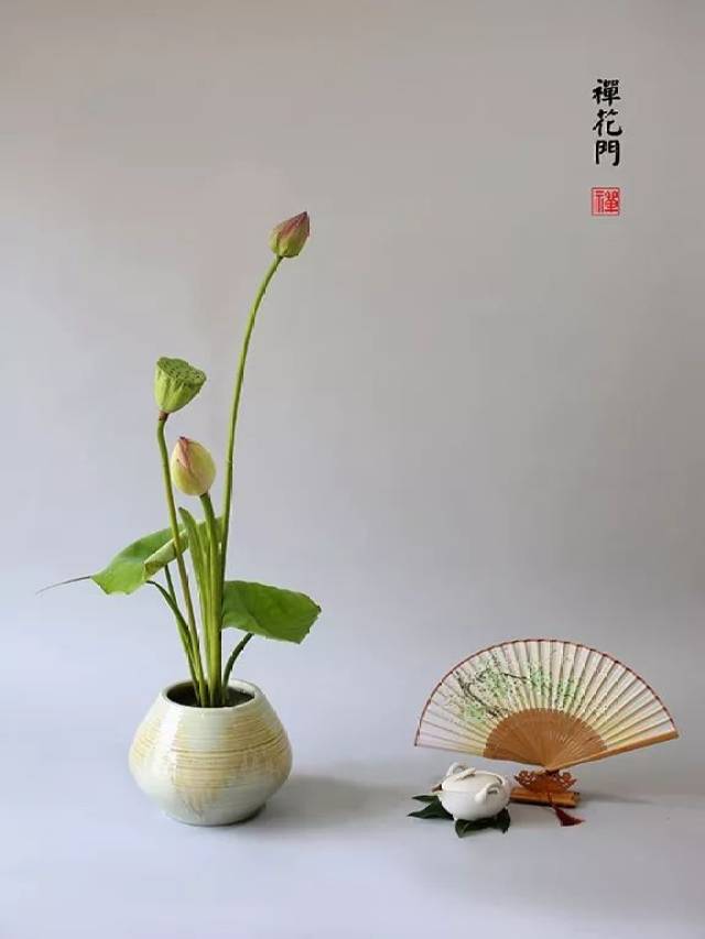 【讲堂】禅与花将携手进入我们的生活