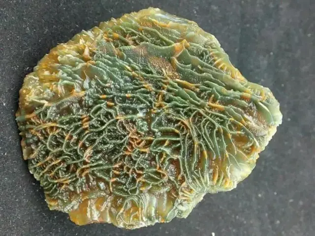 奇石自带"经脉",数亿年以前形成,现遭人疯捡_手机搜狐网