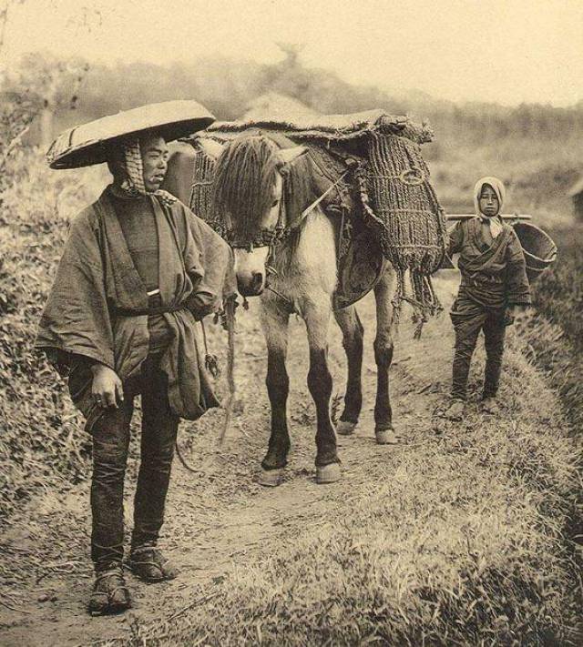 老照片:日本马种改良计划