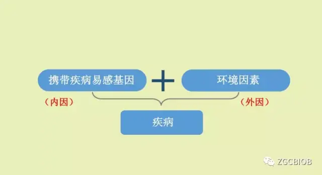 疾病易感基因