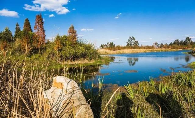 昆明附近有一个无污染的小岛!水清沙白消费低!堪称"巴厘岛"!