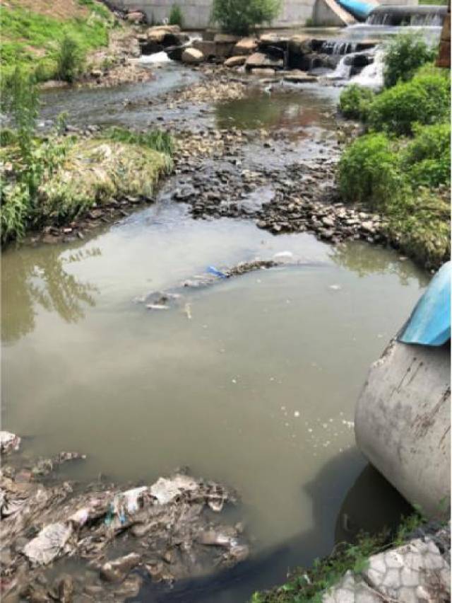 现场直击:哈尔滨惊现黑臭水直排松花江