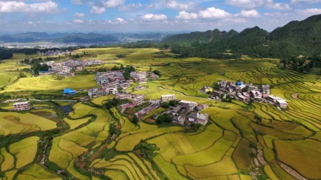 黎平肇興侗寨,鎮遠古城,施秉杉木河 施秉雲臺山,雷山西江等67家4a級