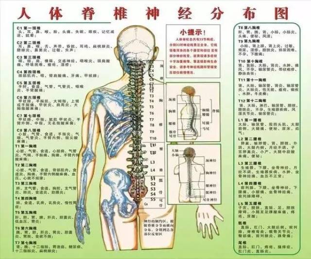 人體疾病與脊柱錯位關係一覽表