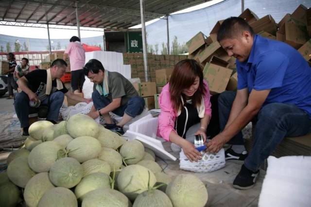 吐鲁番快递公司助力区域经济”，“邮路上的守护者”,，以更快捷的服务连接城市与乡村,，“探索新时代物流新篇章”的文章