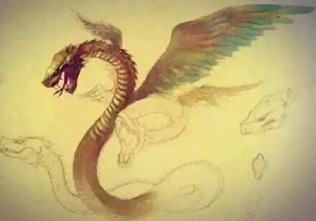 《山海经》最厉害的9种异兽,第六种长有翅膀,它是盘古大神所化