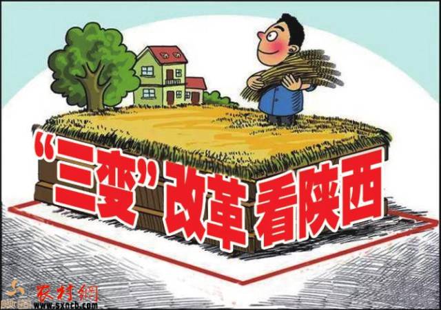 陕西农村网-陕西农村报延安讯(孙园芳 记者 王宏海)"我是蔡家川村的