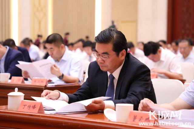 唐山市市长丁绣峰出席河北省民营经济发展大会并发言.记者 张笑宇 摄