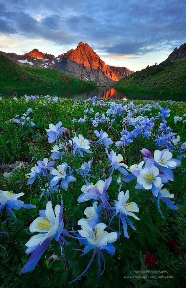 图虫最新一周精选, 让你周一元气满满