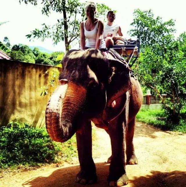 英格兰头牌前锋凯恩:女孩,谢谢你见证我一步步