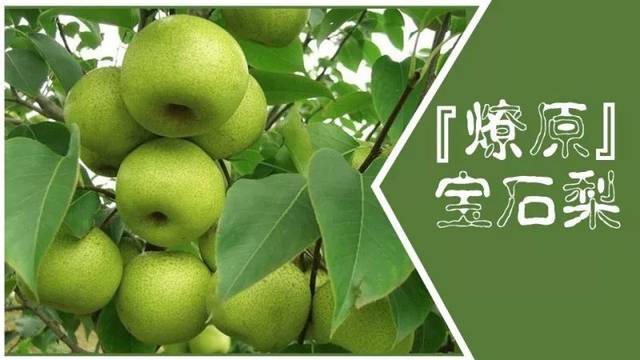 世界杯的夏夜 你需要一颗多汁香甜的燎原宝石梨来陪伴_搜狐网