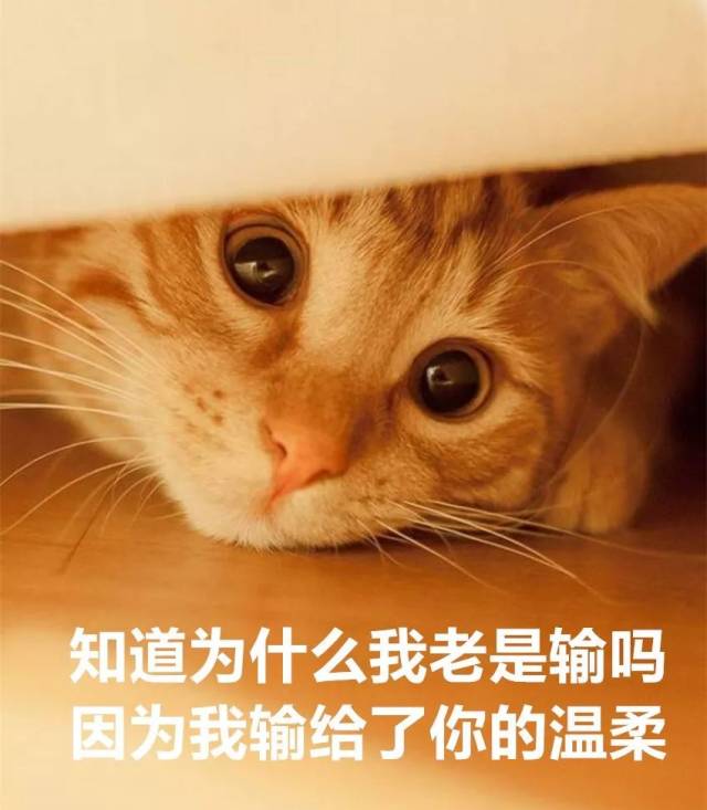 看球和陪我只能選一個,對象哄不好了怎麼辦?