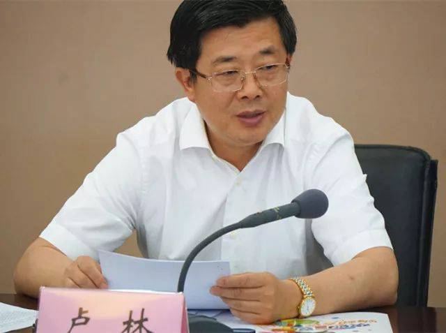 市委常委,常务副市长卢林