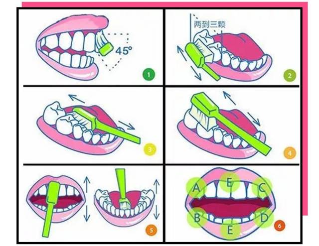 牙医们强调 巴氏刷牙法"