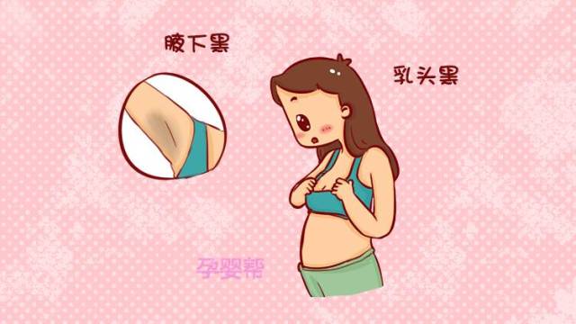 怀孕的人乳头 身体图片