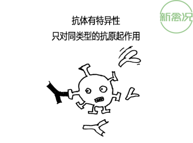 为什么疫苗免疫后抗体效价高,还会发病?