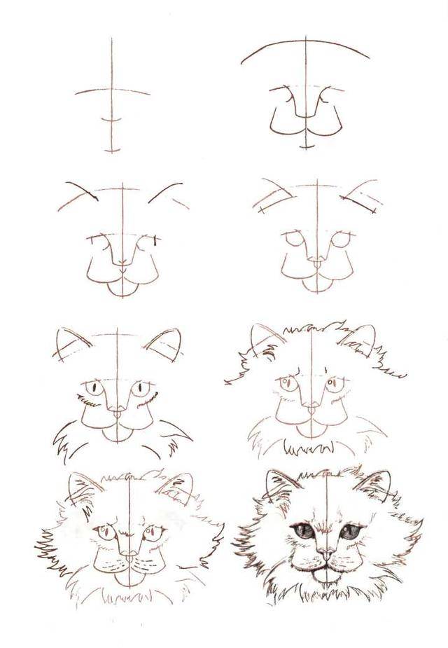 50个猫的画法,四步画出猫咪老师